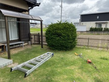 愛知県安城市お庭の抜根作業
